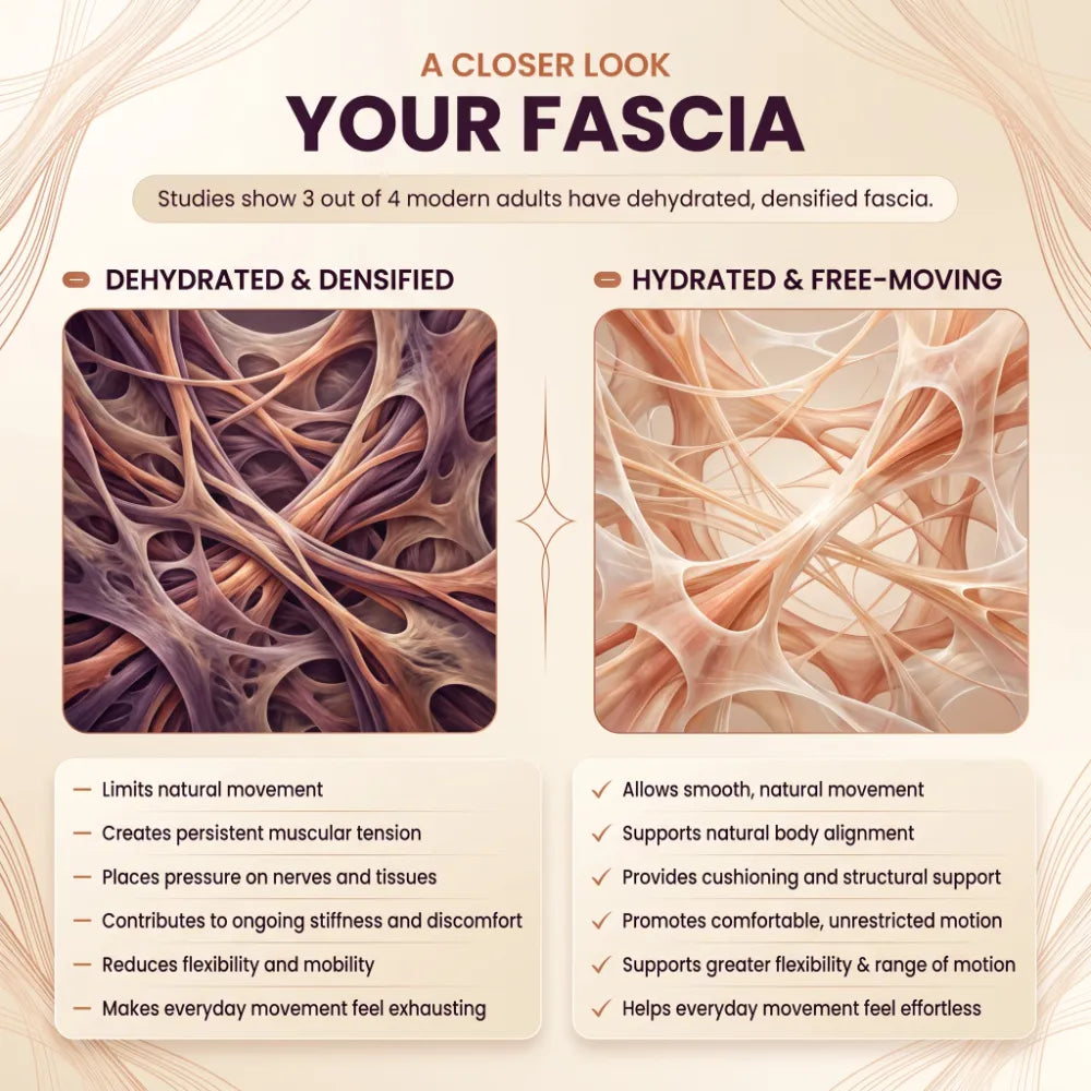 Ritualise Connective Tissue